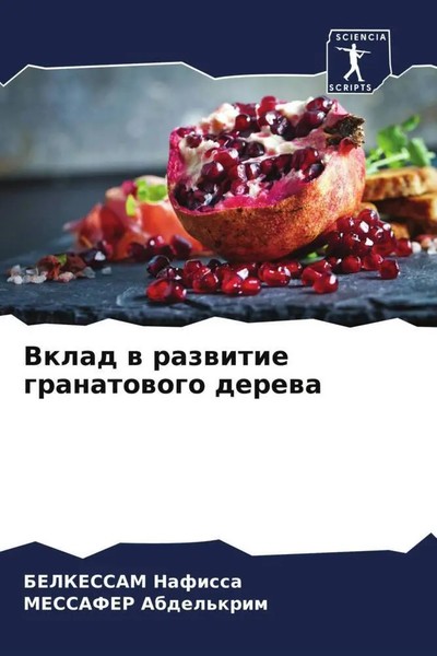 Belkessam Nafissa (U. A.) | Vklad W Razwitie Granatowogo Derewa | Taschenbuch-image
