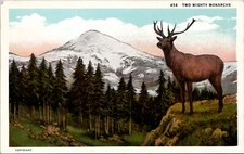 Two Mighty Monarchs Vintage Postcard spc7