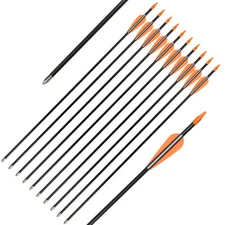 26'' Fiberglass Archery Practice Arrows Recurve Bow Fixed Bullet Tips 12PCSPAK