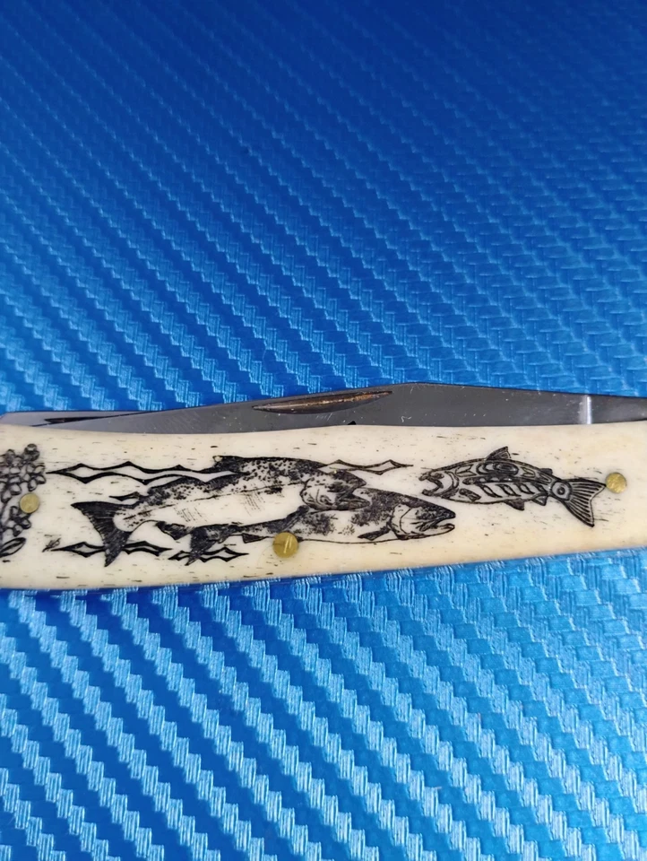 Cuchillo de Bolsillo Plegable Case Trapper Serie Alaska Cuchillo Acero Inoxidable EE. UU. Foto 2 de 4