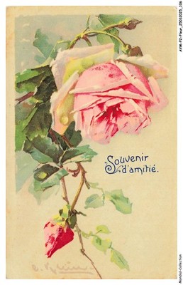 AVMP2-0143-FLEUR - Rose