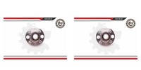 Esen SKV 2X Radnabe Radlagersatz Hinten FüR Honda Civic VI Hatchback CRX III