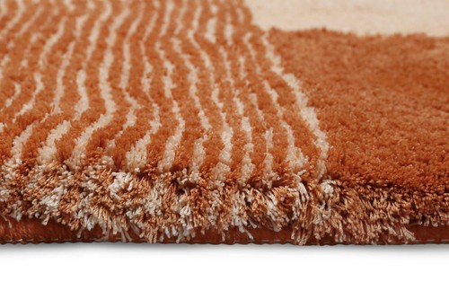 Badteppich Badematte Badezimmer Teppich Badvorleger Duschvorleger Rutschfest - Bild 32 von 37