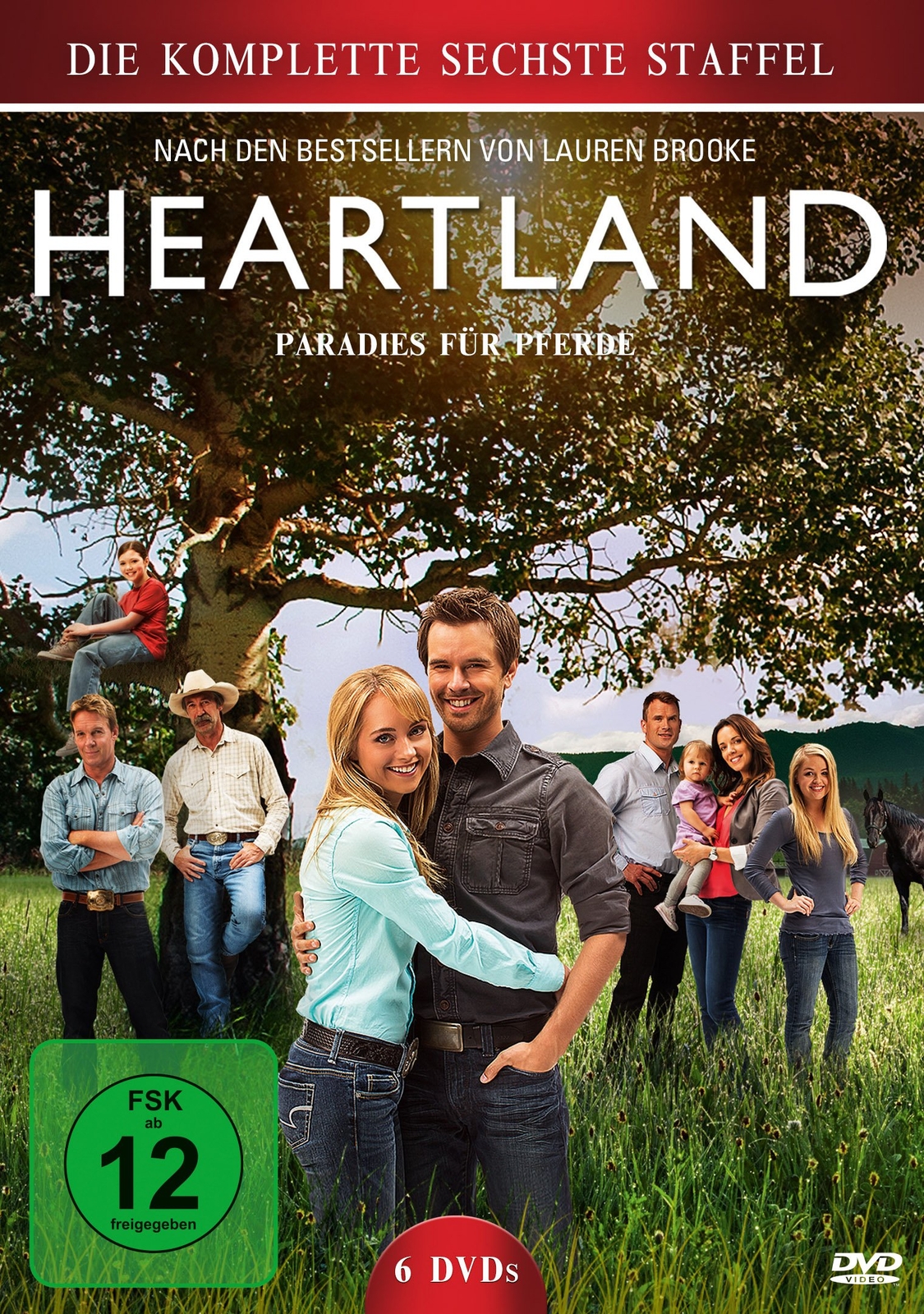 Heartland - Paradies für Pferde - Staffel 6 (DVD)