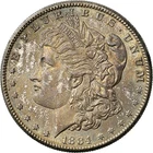 1884-S Morgan Silver Dollar Toned Semi Key Date Us Coin Rare Us Coin High Grade