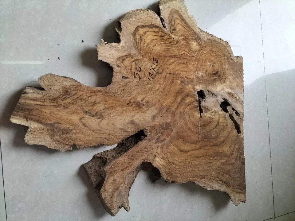 live edge slice of indian teak wood burl wood with high grains for casting craft - Image 3 of 4