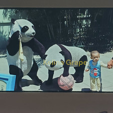 Exhibición de estatua de panda de peluche 1988 35 mm diapositiva de película Beijing China Zoo Boy niño pequeño