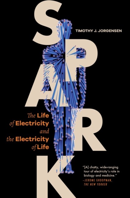 Spark by Timothy J. Jorgensen PAPERBACK 9780691248158