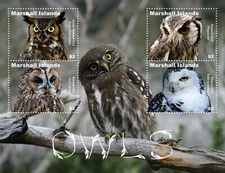 Marshall Islands 2021 - Birds Owls - Sheet of 4 Stamps - Scott #1338 - MNH