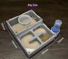 Flat Ant Farm Nest Habitat with Independent Rooms for Small Medium Ant Colony
