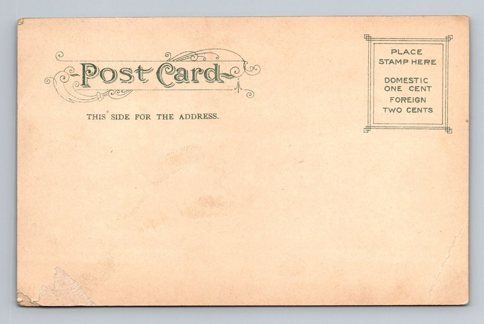 Paterson NJNew Jersey, Passaic Falls In Winter, Antique, Vintage Postcard eBay