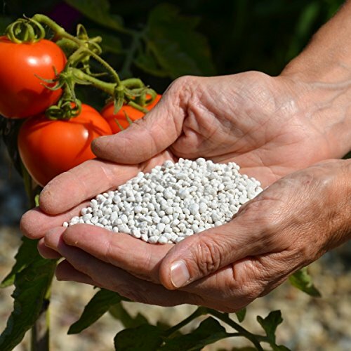 Engrais minéral Patentkali sac 10 kg pour stimuler la récolte et la floraison