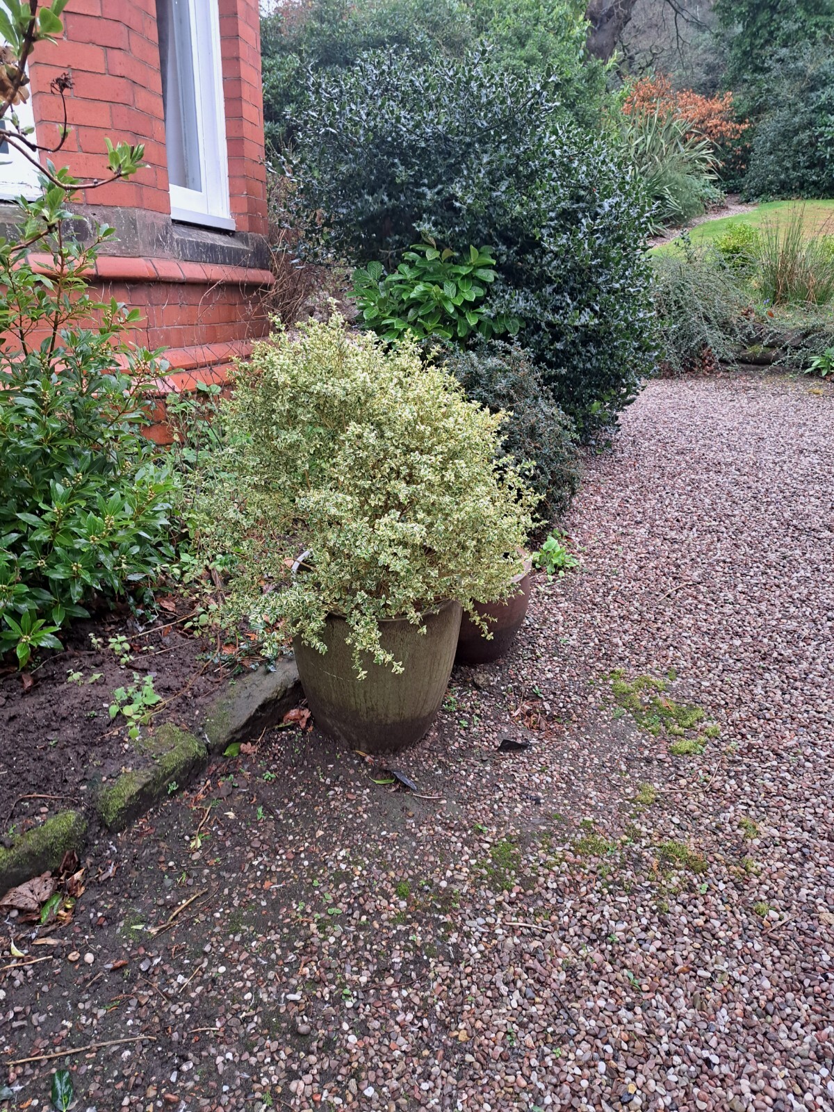 garden pots large eBay