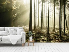 3D Forest Sunlight Wallpaper Wall Mural Removable Self-adhesive Sticker282