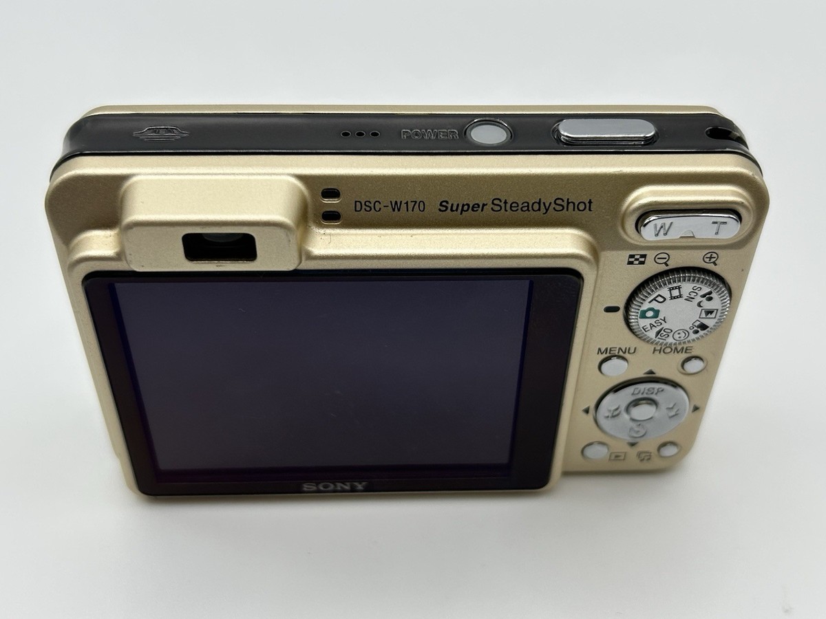 SONY DSC-WX170 ゴールド DSC-WX170 商品の写真 | デジタルスチルカメラ Cyber-shot