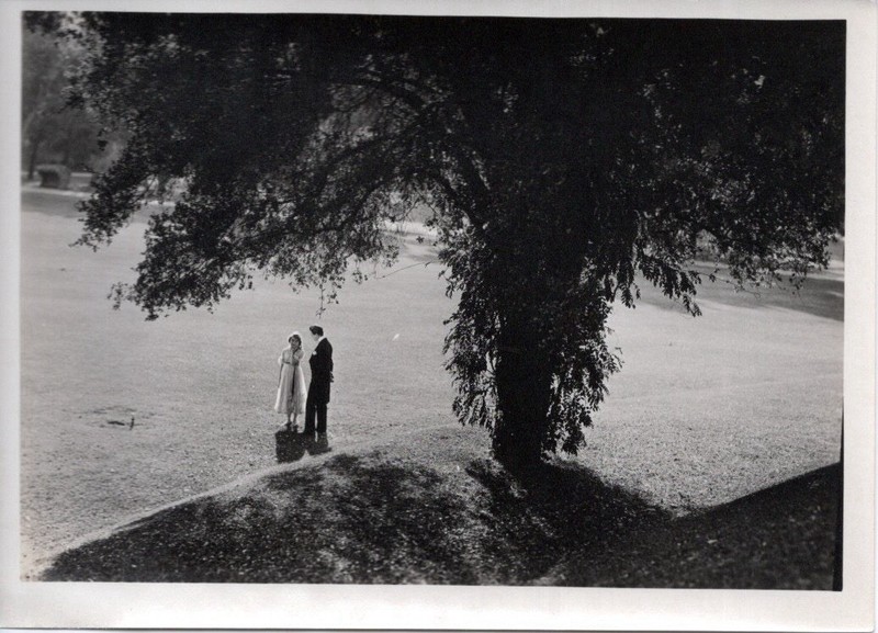 MARY PICKFORD VINTAGE ORIGINAL Graflex Photo STELLA MARIS