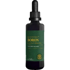 2 X Global Healing Boron -- 2 fl oz