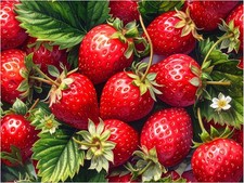 Tile Mural Fresh Strawberry Ripe Berries Kitchen Wall Backsplash Marble Ceramic