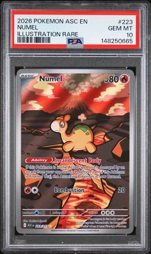 2026 POKEMON ASC EN-ASCENDED HEROES ILLUSTRATION RARE #223 NUMEL PSA 10