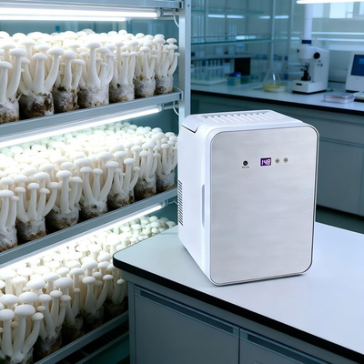 #ad #ad 10L Incubator with Hot Air Circulation amp; Auto Thermostat for Mushroom Yeast Lab $119.99