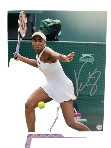 330 photos et images haute résolution de Venus Williams 1998 - Getty Images