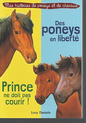 Ponys in Freiheit / Prinz darf nicht laufen.Lucy DANIELS Z25