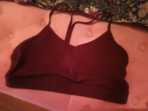 NWOT lot of 2 Banana Republic sports/t-shirt bras sz M pink cranberry