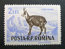 Romania 1956 Scott #1091 MNH OG - Scott 2010 Catalogue Value $22.50!