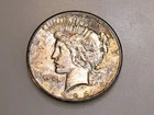 1926-P $1 PEACE SILVER DOLLAR TONED