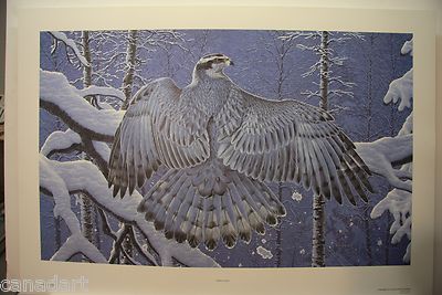 Randy FEHR '' Boreal Ghost Limited Edition art print GOSHAWK RARE mint print COA