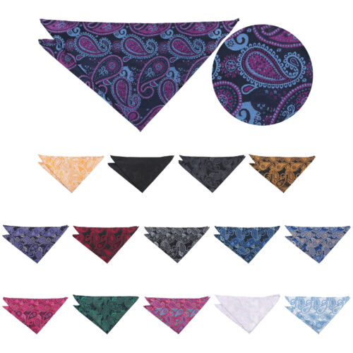 Herren gewebt Paisley böhmisch formell quadratisch Taschentuch Taschentuch Taschentuch von DQT - Bild 1 von 16