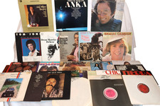 29 Lot Vintage Vinyl Records Pop Albums LP's DAVID NAUGHTON, DEAN MARTIN, TIERRA