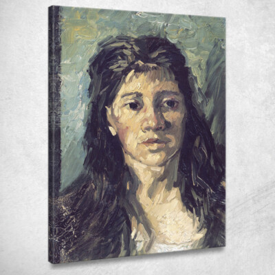 Vincent van Gogh Prostituierte, vvg19 Leinwandbild