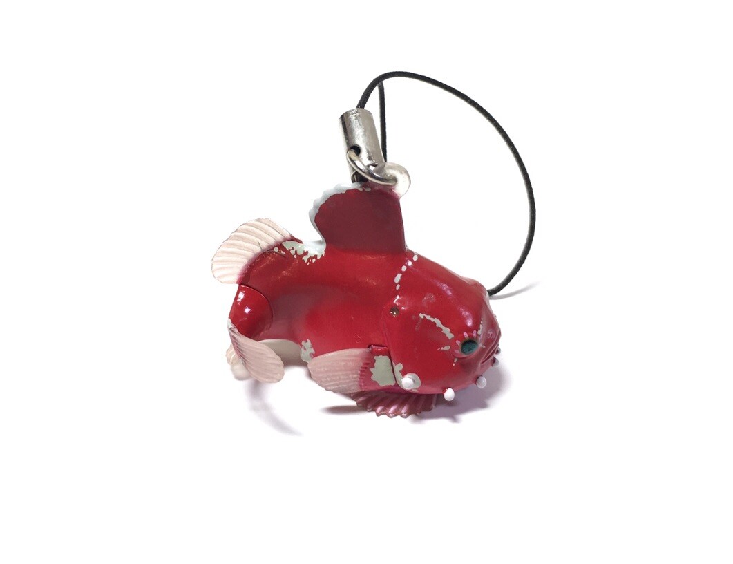 Japan Kitan Club Nature Techni Colour Lumpfish Lumpsucker Fish