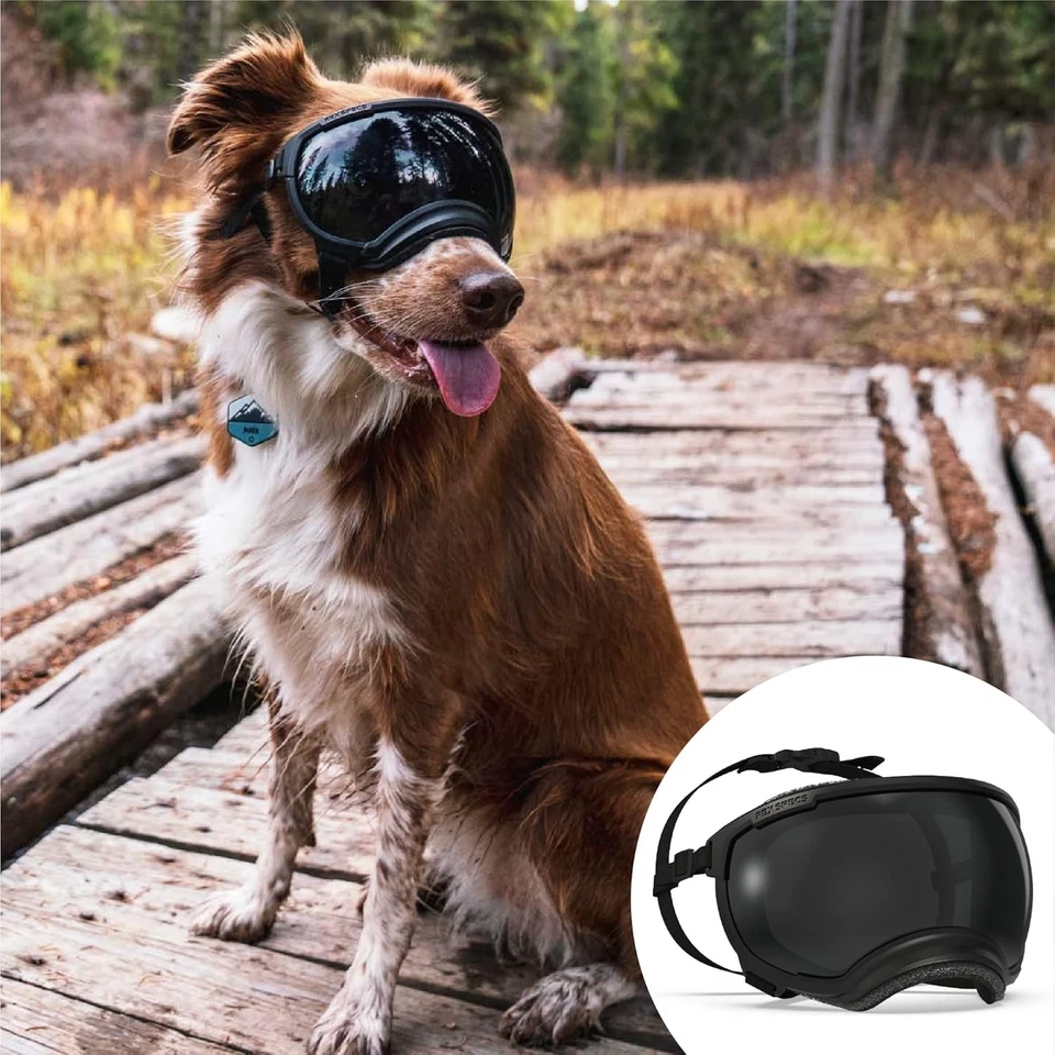 All-Breed Suitable V2 Dog Goggles X-Large - Ultimate Eye Protection in Black - Image 3 of 4