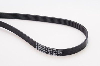 CONTINENTAL CTAM Keilrippenriemen 6PK2404 für A6 A4 AUDI A8 ALLROAD PASSAT VW C5