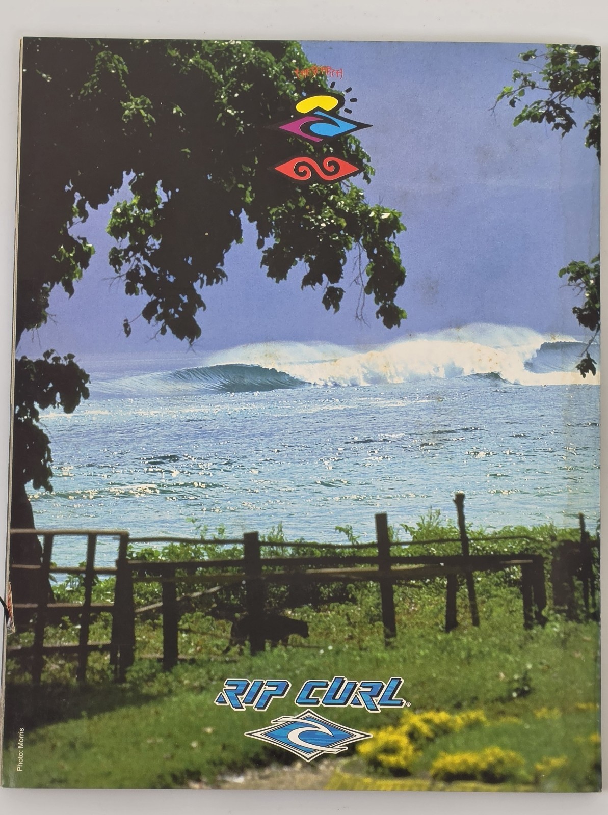 Surfer Magazine June 1996 Vol 37 No 6 California Love Surfing w/poster image 4