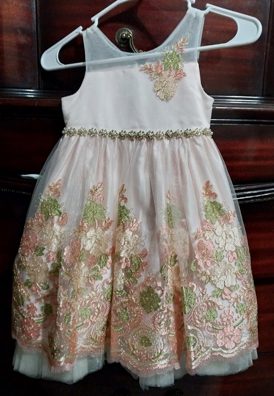 American Princess Little Girls Fancy Special Occasion Dress Size 4 Pearls Roses