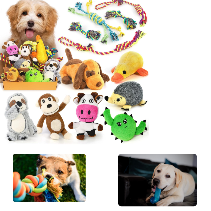 Quietschespielzeug Für Hunde – Weiches, Waschbares Plüsch-Kauspielzeug Zur Zahnreinigung & Gegen Langeweile