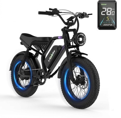 Electric Bike for Adults 1500W Peak Motor 48V 20Ah Battery 20'' Fat Tire 7-Speed