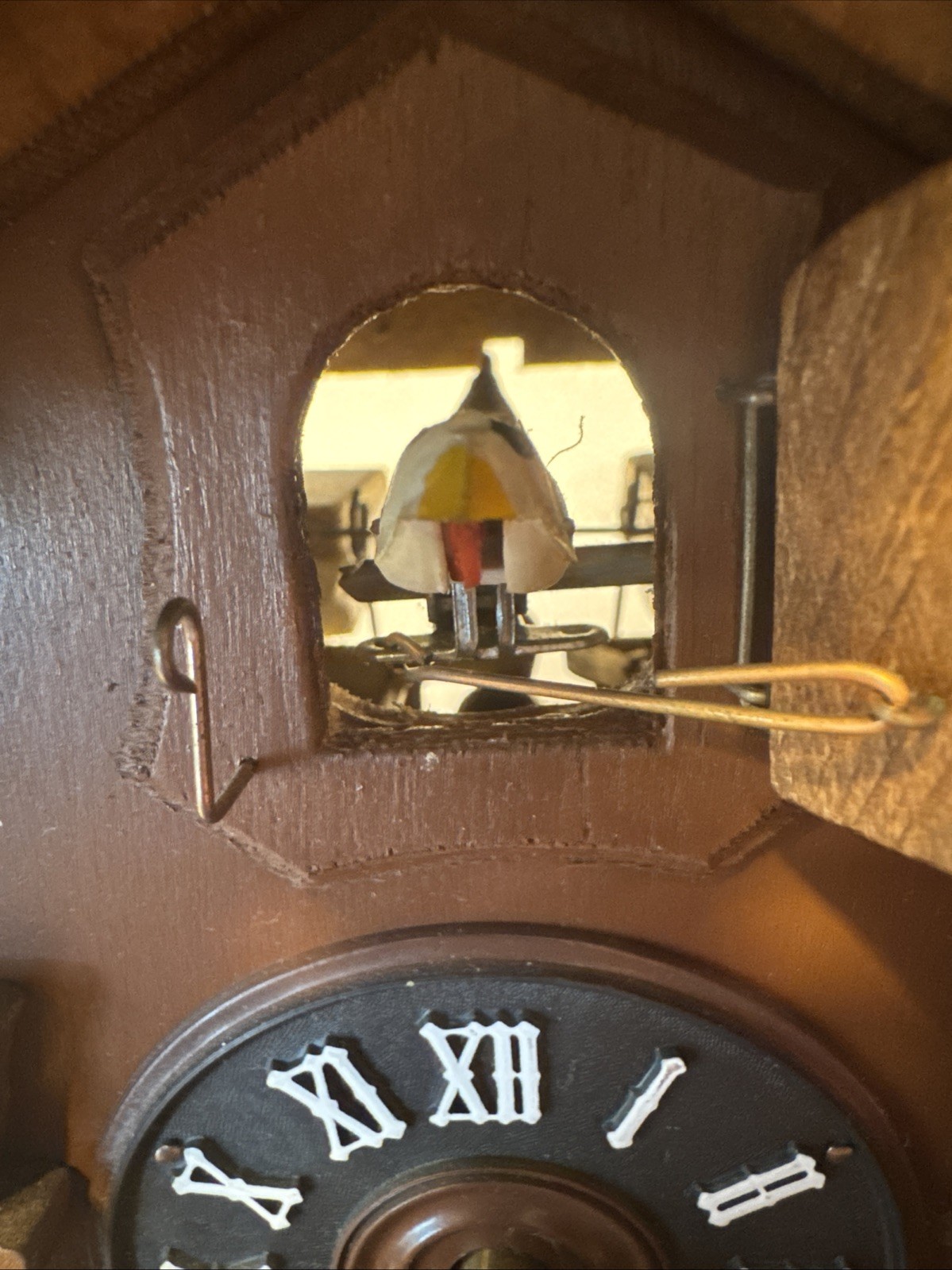 Picture 10 of 17