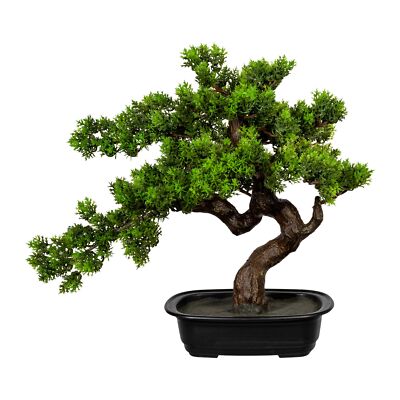 Bonsai Myrte ca 40x40cm, in Kunststoffschale 22x15x6cm, schwarz, Kunststoff  Kuns 4064118075875 | eBay.de