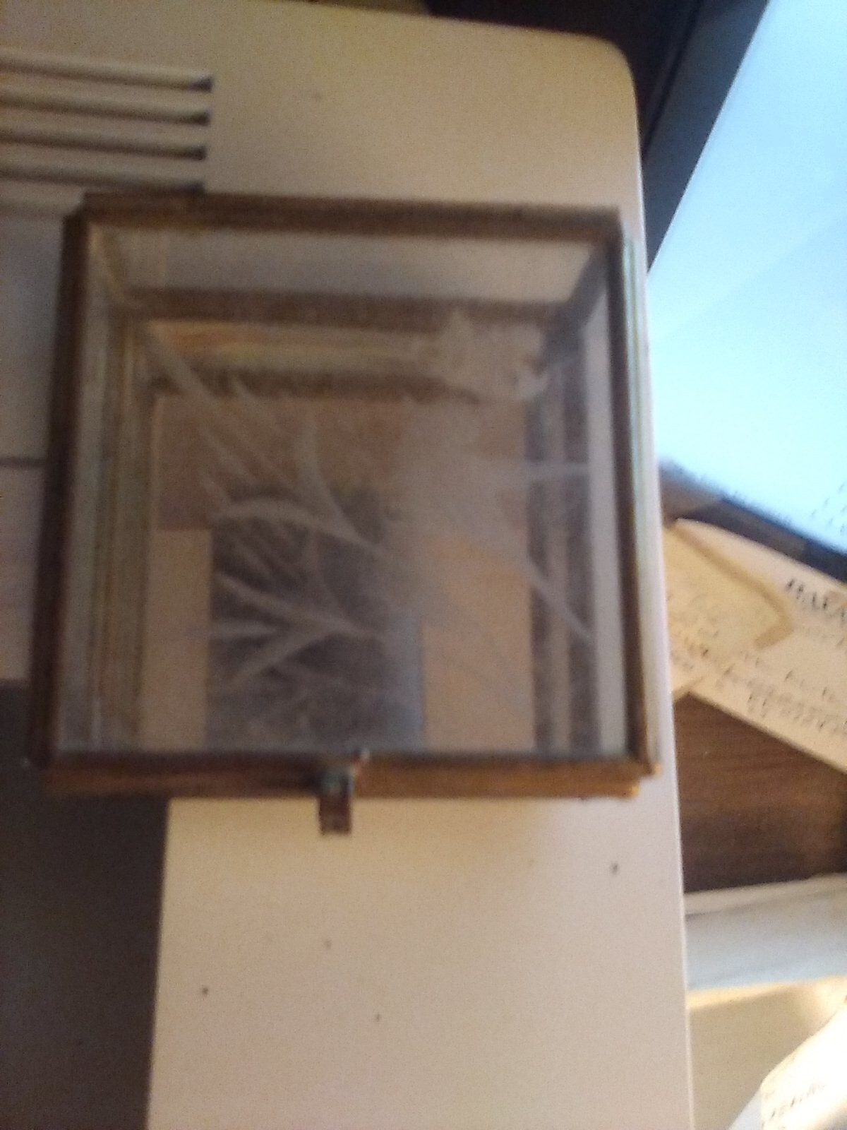 Jewelry Box 2x2x1 Clear with Gold Trim Bird and Flowers Design-image