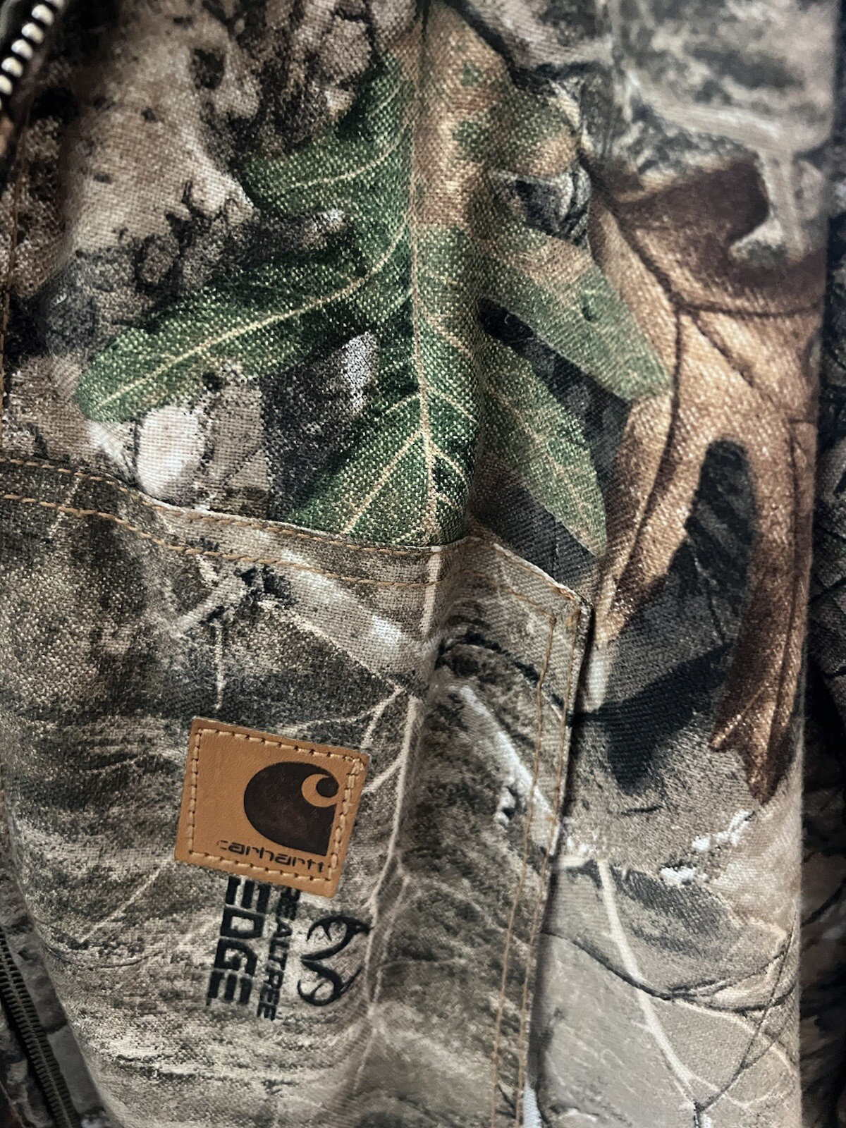 Picture 4 of 4