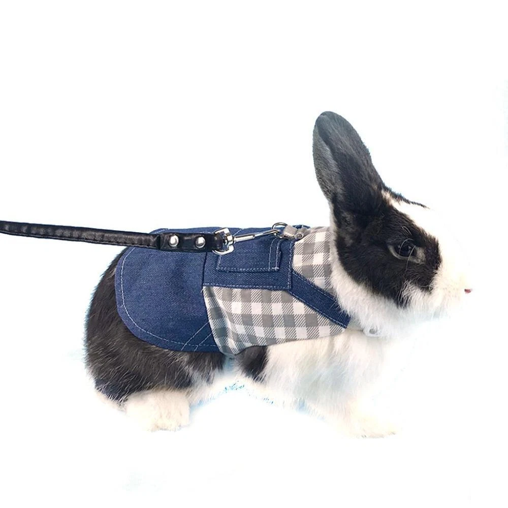 Clothes for cheap rabbits ebay
