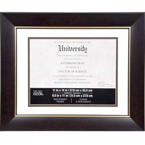 Brown & Gold 8.5" x 11" Document Frame with Mat by Studio Décor®