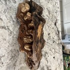 Vintage One of a kind Olive wood Nativity from Jerusalem Hand Made Carved Nice! — photo 6