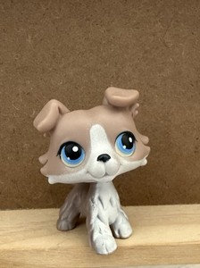 Littlest Pet Shop Hasbro - Collie #1676 - Figurine Chien Collection - Lot 233