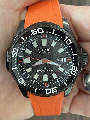Diver Watch, 300m (BN0088-03E 