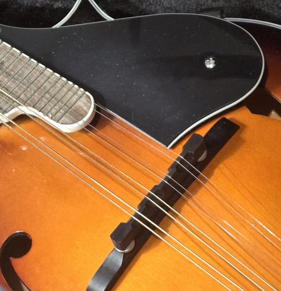 Vintage Savannah SF100 F-Style Mandolin With Rigid Formed/Interior Carrying Case - Image 2 of 4